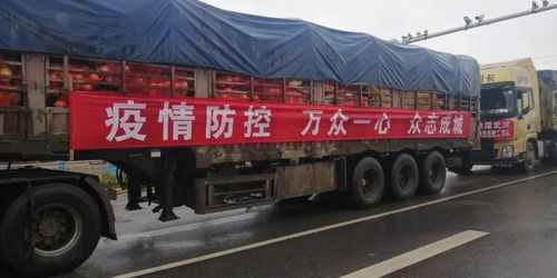 昼夜兼程，驰援武汉——昭通运输物资车队宣传标语凝聚人心